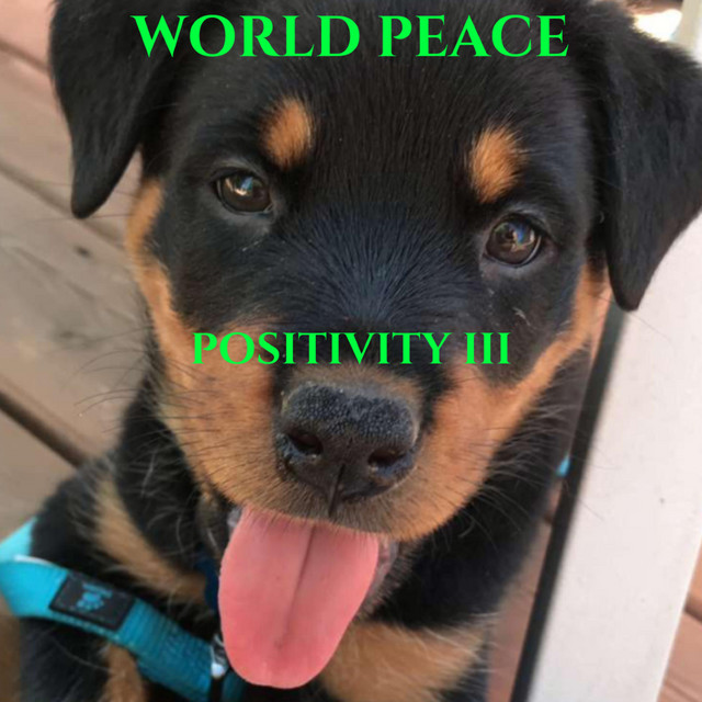 Positivity III cover art