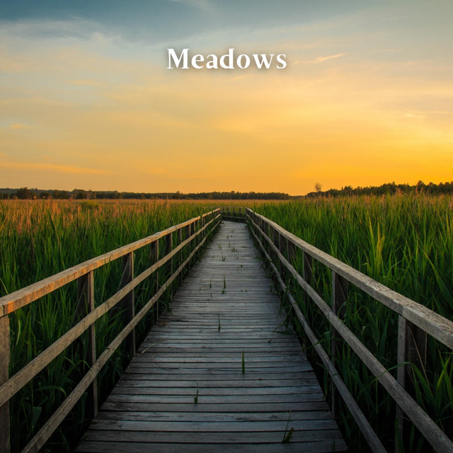 Meadows cover art