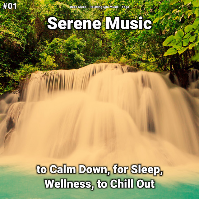 #01 Serene Music to Calm Down, for Sleep, Wellness, to Chill Out cover art