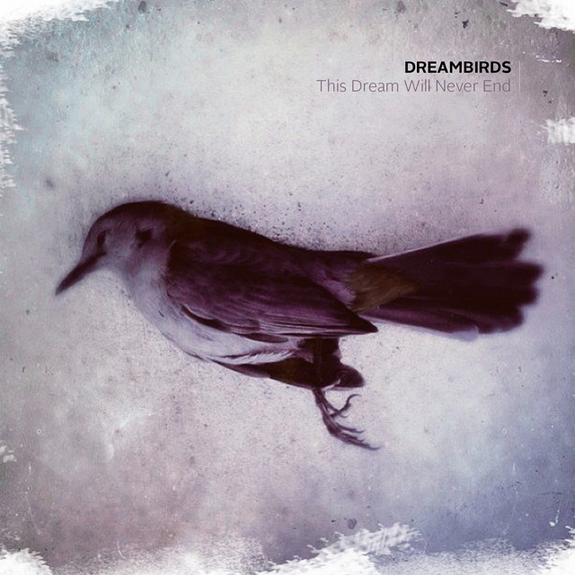 Dreambirds