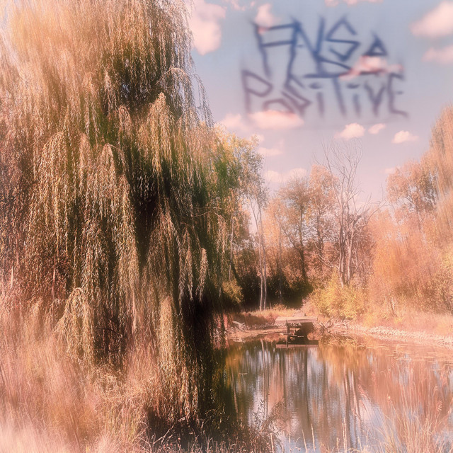 False Positive cover art