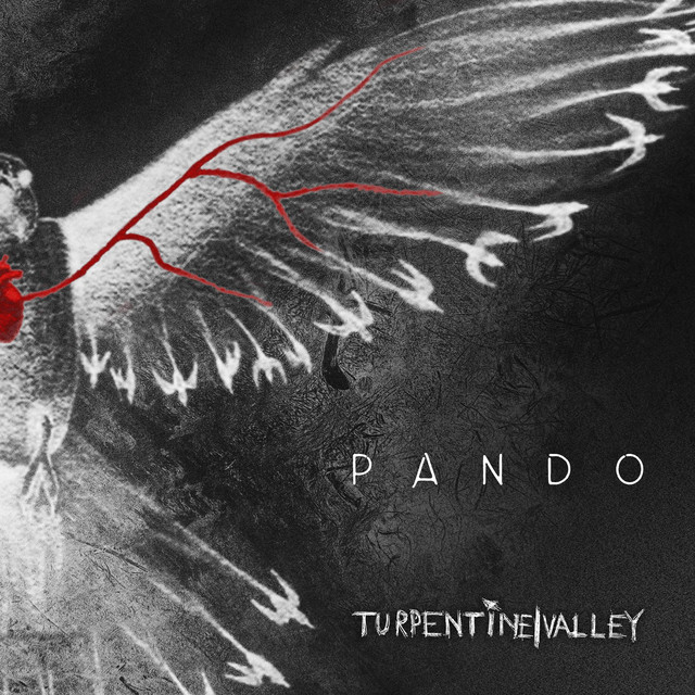 Pando (single)