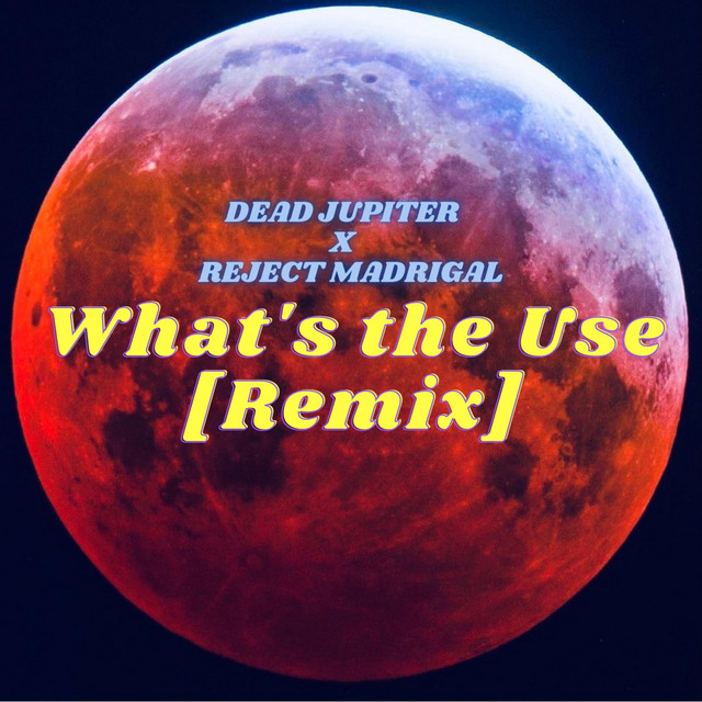 What's the Use - Remix