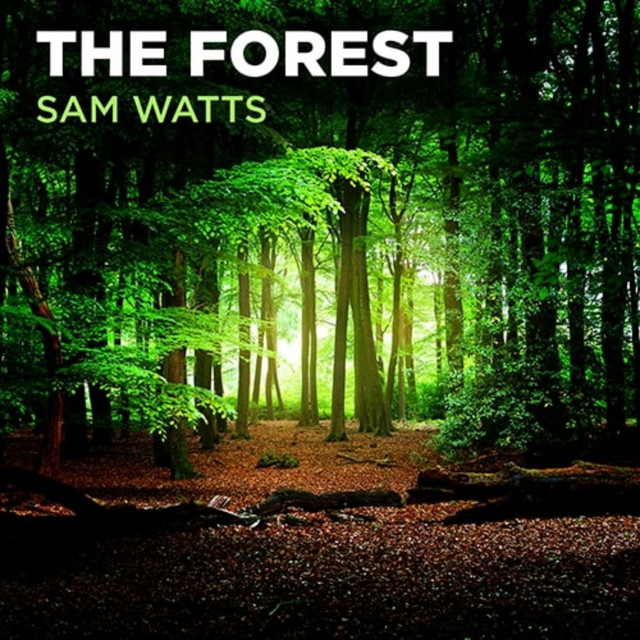 The Forest cover art
