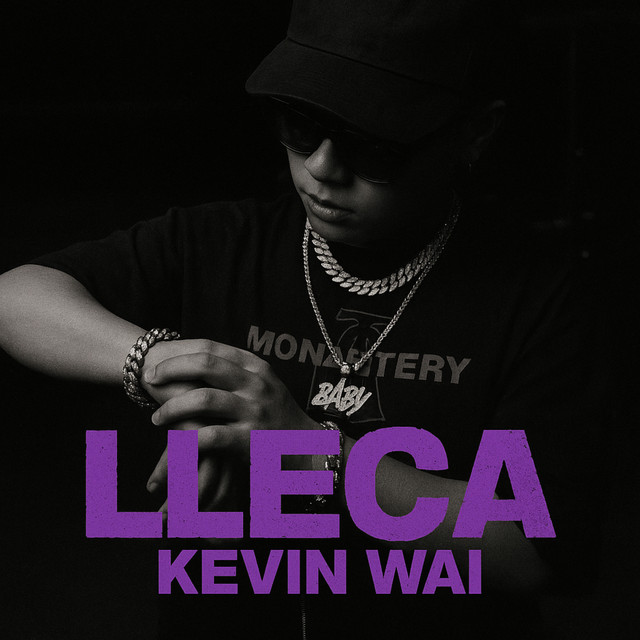 Lleca album image