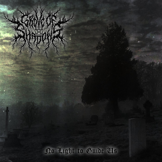 No Light to Guide Us cover art