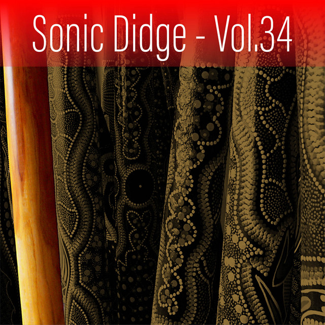 Sonic Didge, Vol. 34 cover art