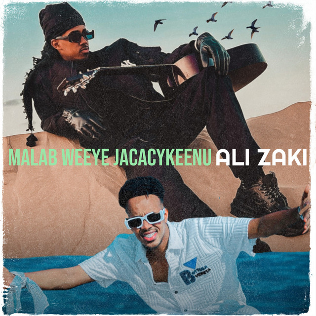 Ali Zaki