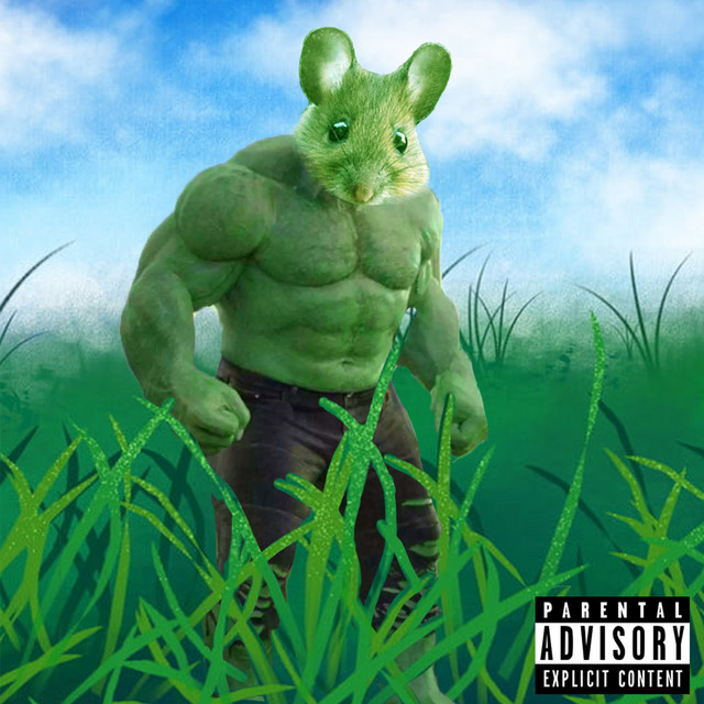 Une souris verte - Remix