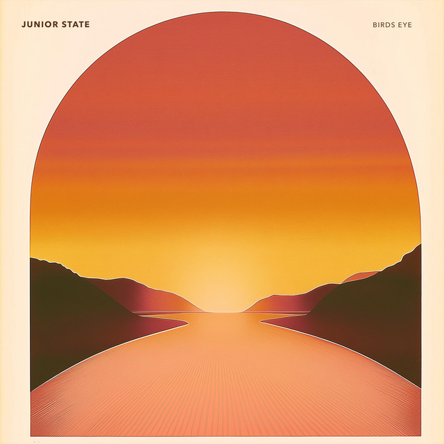 Birds Eye cover art