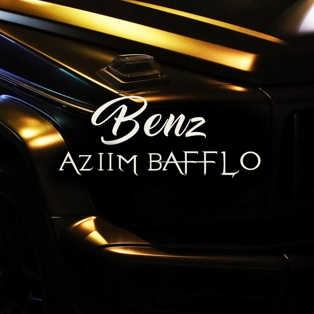 Черная bmw aziim bafflo