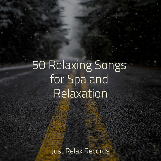 50 Relaxing Songs for Spa and Relaxation - Album by Sleep Baby Sleep ...