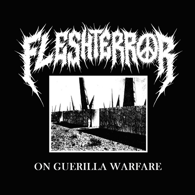 On Guerrilla Warfare cover art
