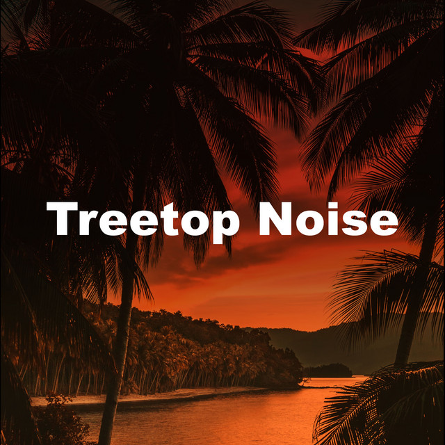 Treetop Noise cover art