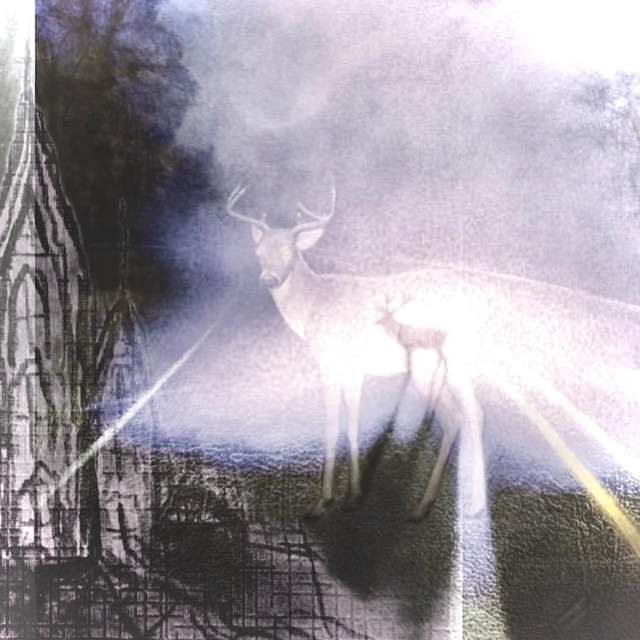 The Deer cover art