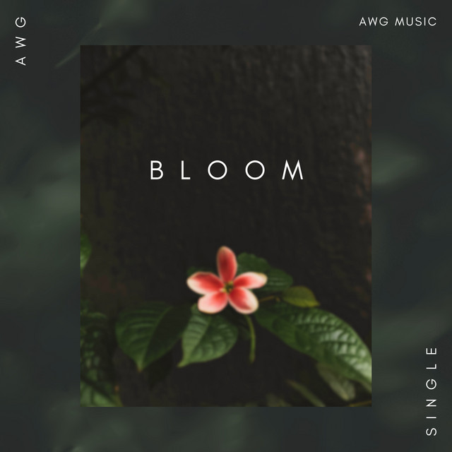 Bloom cover art