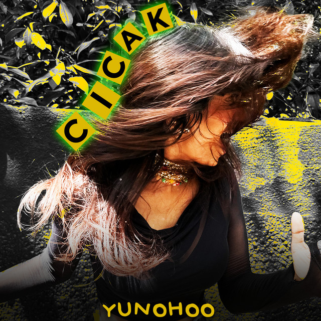 Cicak cover