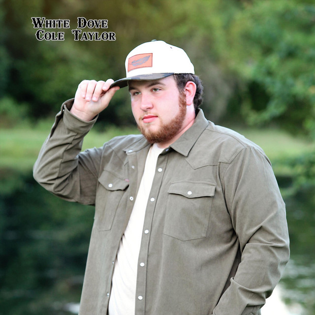 White Dove - Single by Cole Taylor | Spotify