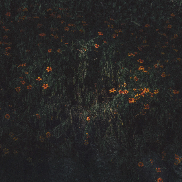 Estarantos cover art