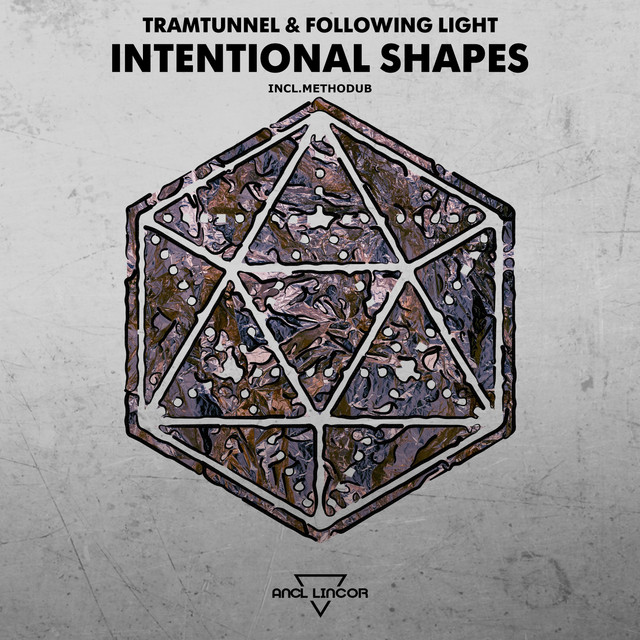 Обкладинка Following Light — Intentional Shapes