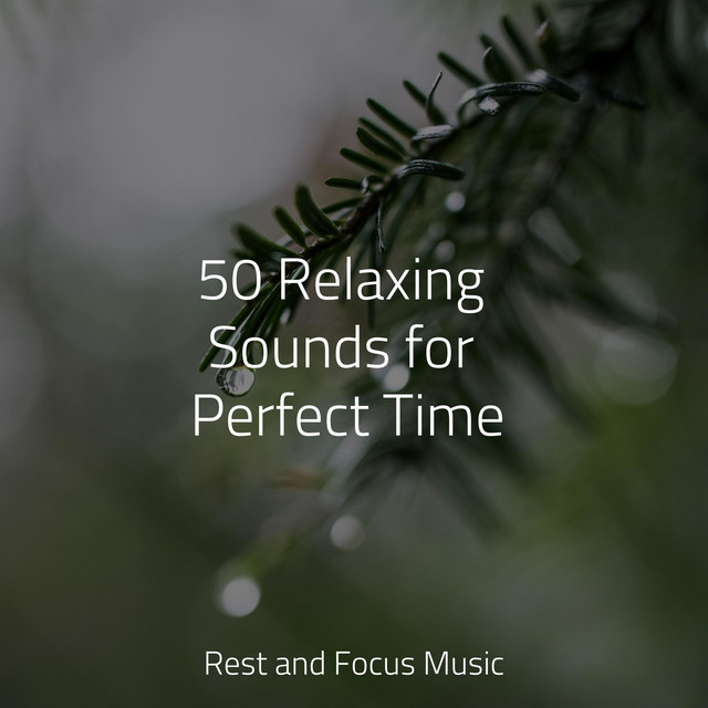 50 Relaxing Sounds for Perfect Time - Album by Amazing Spa Music | Spotify