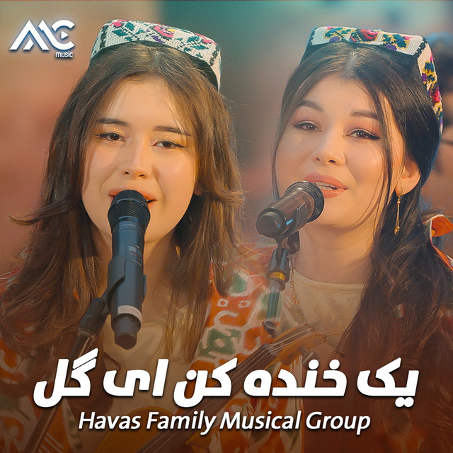 Havas Family Musical Group