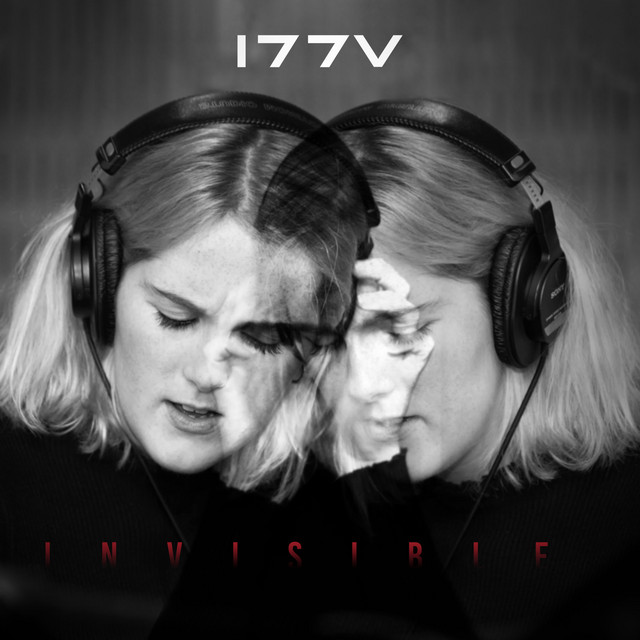 Invisible cover art