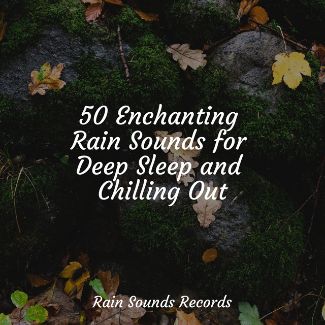 50 Enchanting Rain Sounds for Deep Sleep and Chilling Out - Album by ...