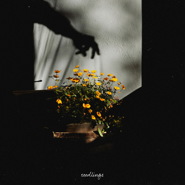 Seedlings cover art