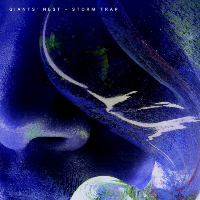 Storm Trap cover art