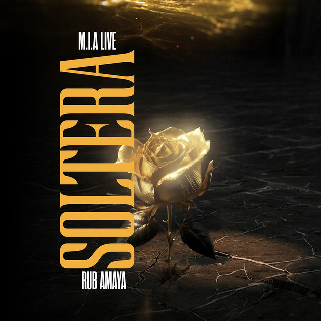 M.I.A LIVE