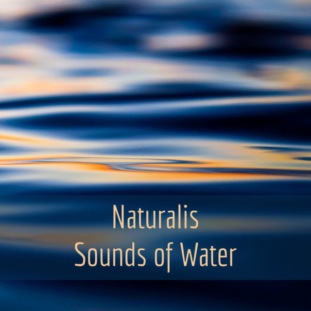 Sounds of Water (Binaural Audio) cover art