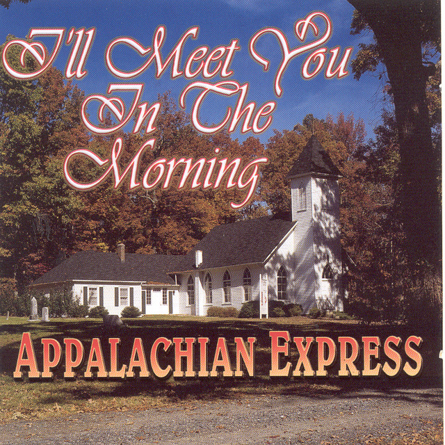 I'll Meet You In The Morning cover art