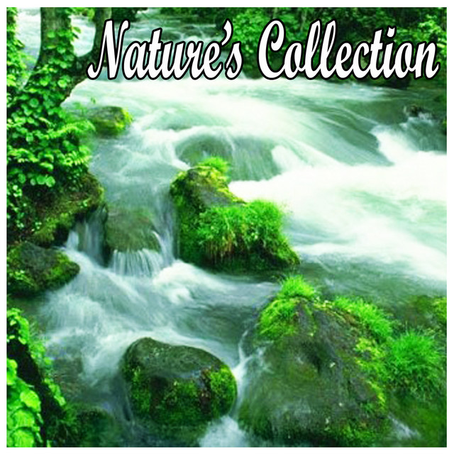 Natures Collection-Sounds for Spa, Yoga, Sleep, Massage, Healing, Tai Chi, Meditation and Relaxation cover art