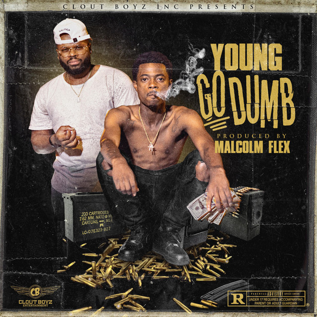 GO Dumb cover art