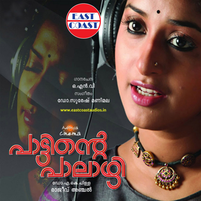 Pattinte Palazhi cover art