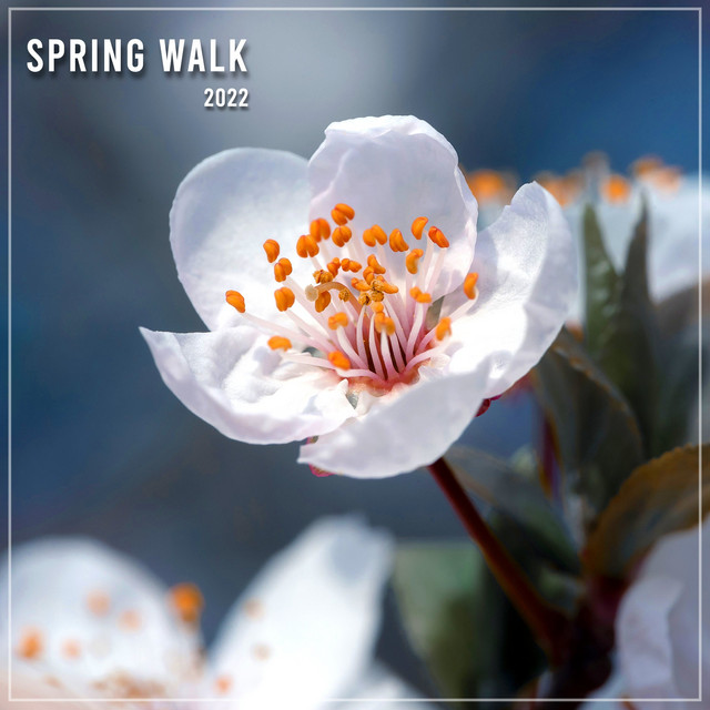 Spring Walk 2022 cover