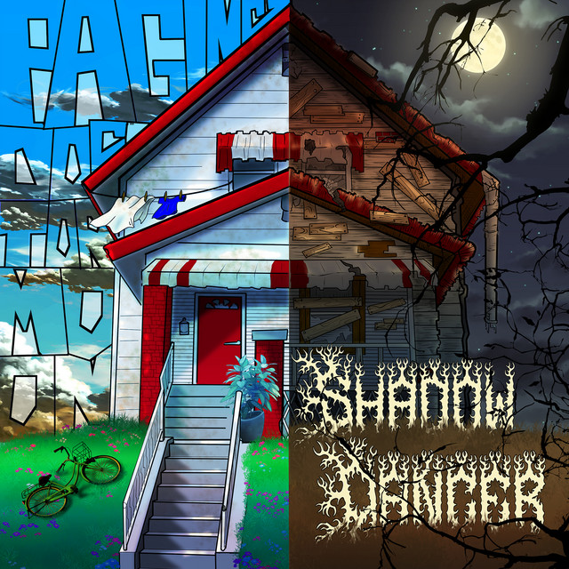 Shadow Dancer cover