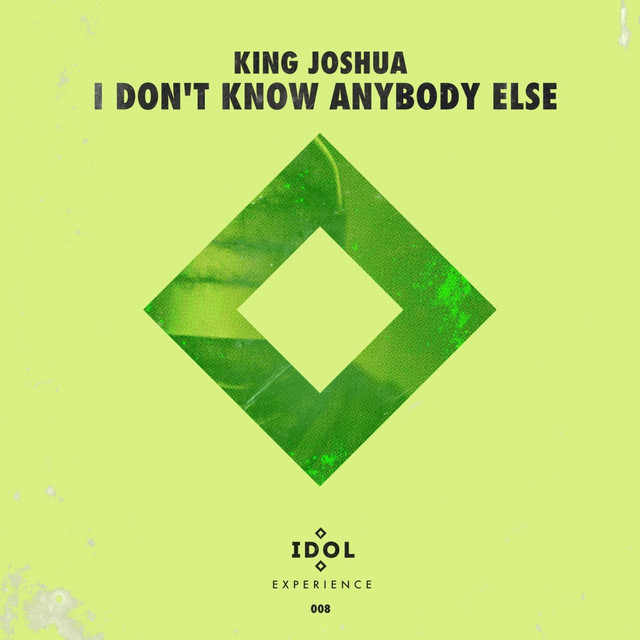 I Don't Know Anybody Else - Idol Mix album art