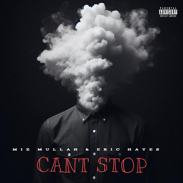 Can't Stop cover