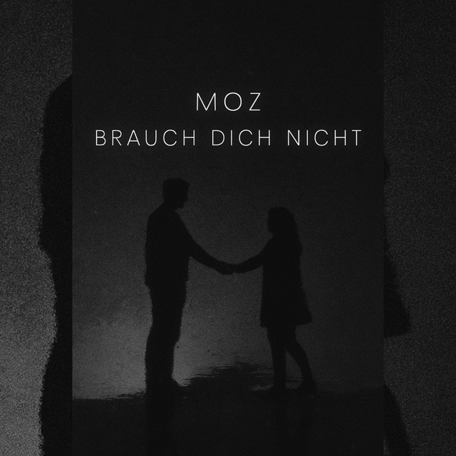 Brauch Dich Nicht cover