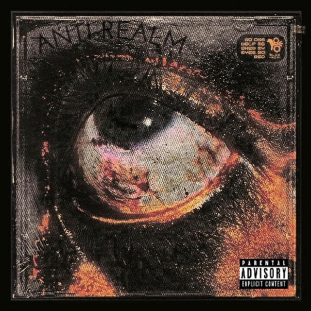 ANTI REALM cover art