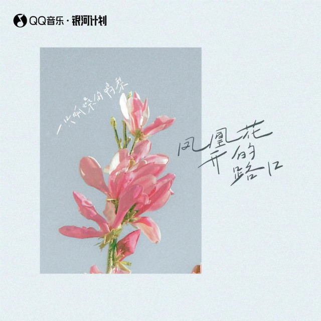 凤凰花开的路口 cover art