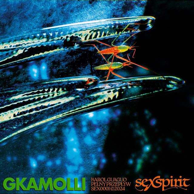 PEŁNY PRZEPŁYW cover art