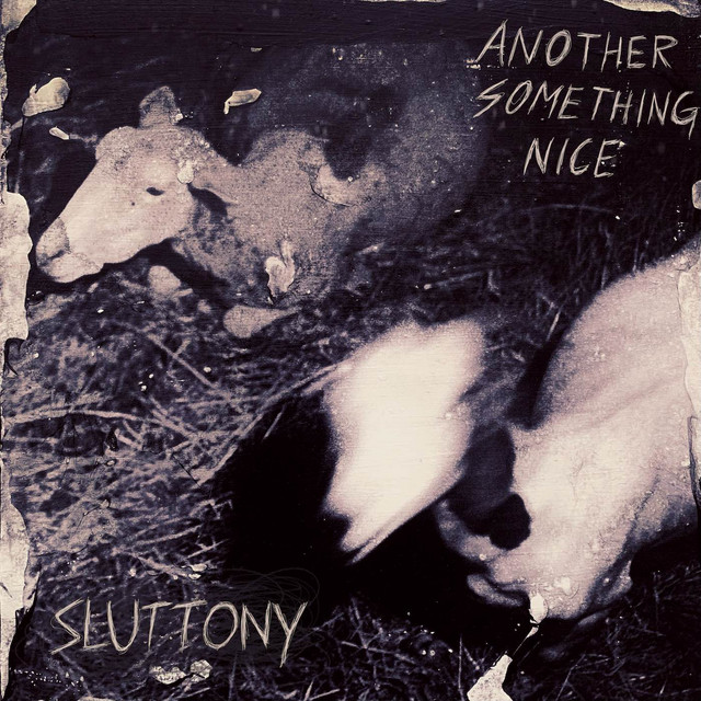 Another Something Nice cover art