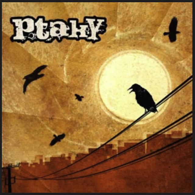 Ptaky Photo