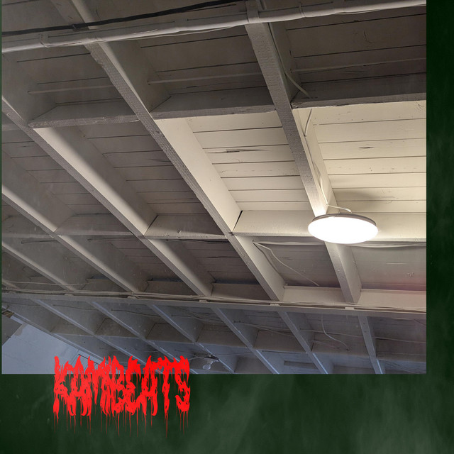 THANK YOU FOR CUTTING THE ROPE cover art