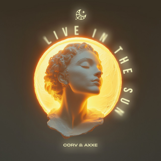 Live in The Sun cover art