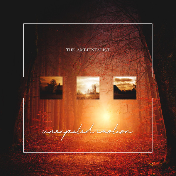 Unexpected Emotion - Single by The Ambientalist | Spotify
