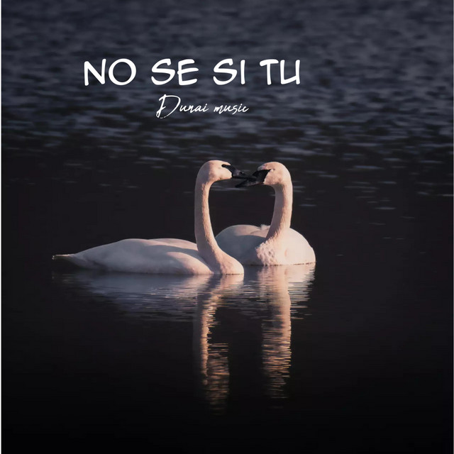 Letras y Acordes Web